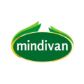 Mindivan