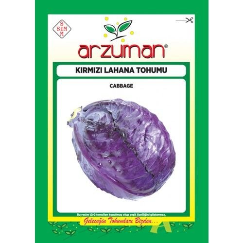 Arzuman Sebze Kırmızı Lahana Mor Tohum 25 gr