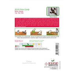 Arzuman Türbe Çiçeği (Impatiens Balsamina) Çiçek Tohumu 30 Adet