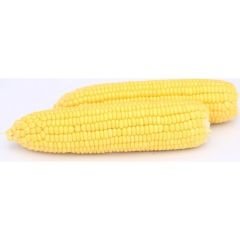 Arzuman Küçük Çiftlik Tatlı Mısır Tohumu 25 gr Hibrit Şeker Mısır