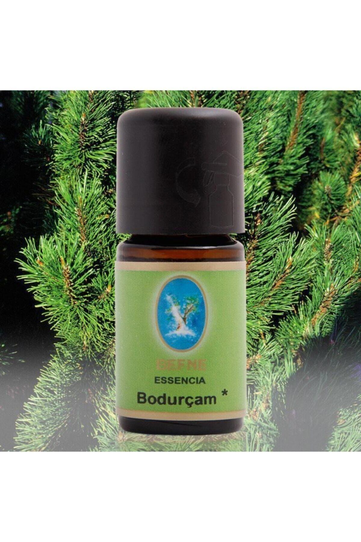 Defne Bodur Çam Yağı 10 ml