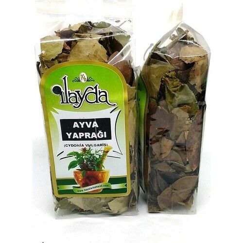 Ilayda Ayva Yaprağı