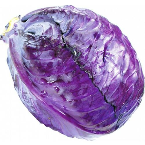 Arzuman Kırmızı - Mor Lahana 10 Gram