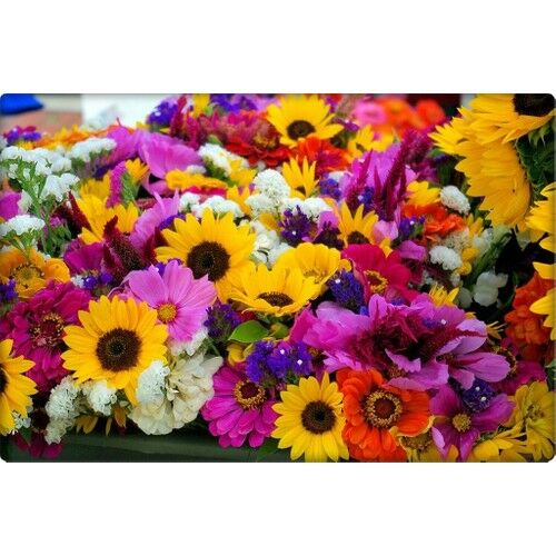 Arzuman Karışık Çiçekler Tohumu (50 Adet) 8-10 Çeşit Çiçek