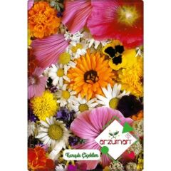 Arzuman Karışık Çiçekler Tohumu (50 Adet) 8-10 Çeşit Çiçek