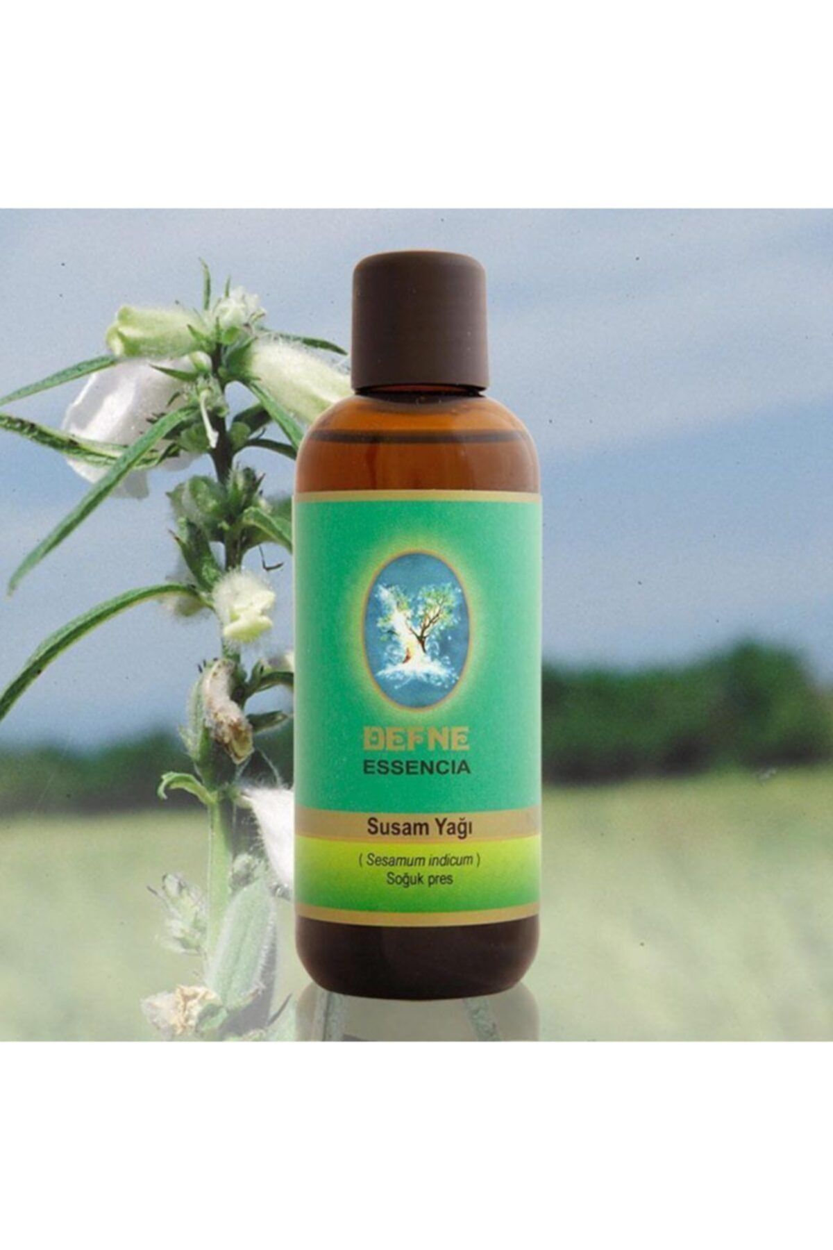 Susam Yağı (SOĞUK SIKIM) 100 ml