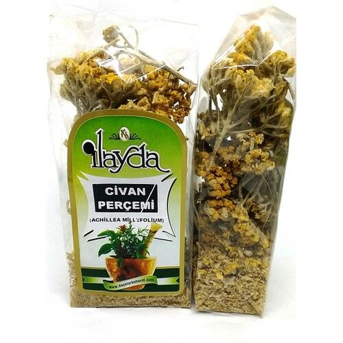 Ilayda Civan Perçemi