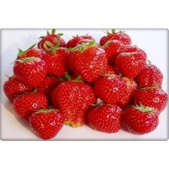 Arzuman Çilek Tohumu (100 Adet)