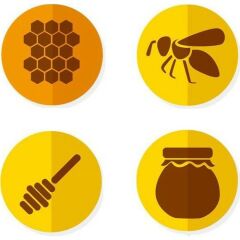 Balen 6 Adet Sıvı Propolis Ekstraktı 30 ml