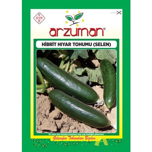 Arzuman Salatalık Selen Hibrit Hıyar Tohum F1 - 10 gr