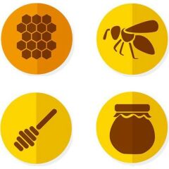 Balen 8 Adet Sıvı Propolis Ekstraktı 30 ml - Yeni Ürün