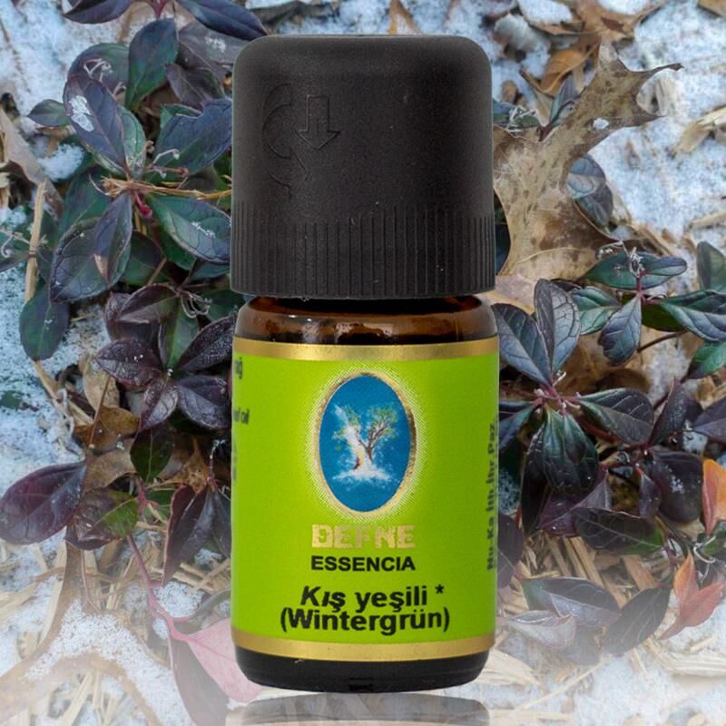 Nuka Defne Kış Yeşili(Wintergrün) (organik) Uçucu Yağ 10 Ml