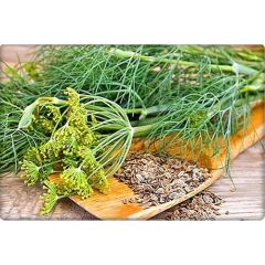 Arzuman Dereotu Tohumu (25 Gr)