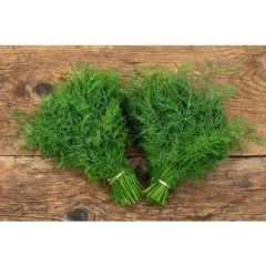 Arzuman Dereotu Tohumu (25 Gr)