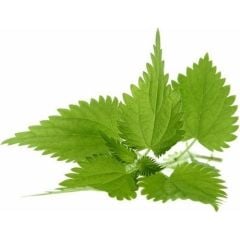 Arzuman Doğal Isırgan Otu Tohumu 100 'lü