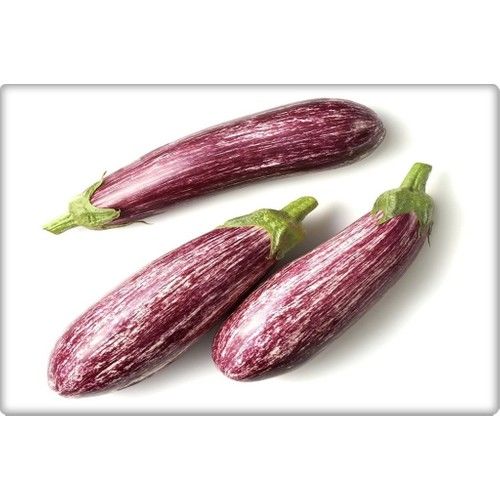 Arzuman Çizgili Patlıcan Tohumu (10 Gr) Alaca Patlıcan