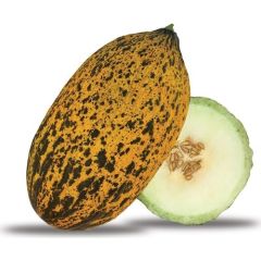 Arzuman Kavun Tohumu Kırkağaç Tipi (Uzun-Benekli) 10 gr