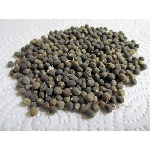 İbk İklim Bahçe Bamya Tohumu 500 gr