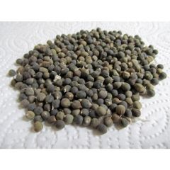 İbk İklim Bahçe Bamya Tohumu 500 gr