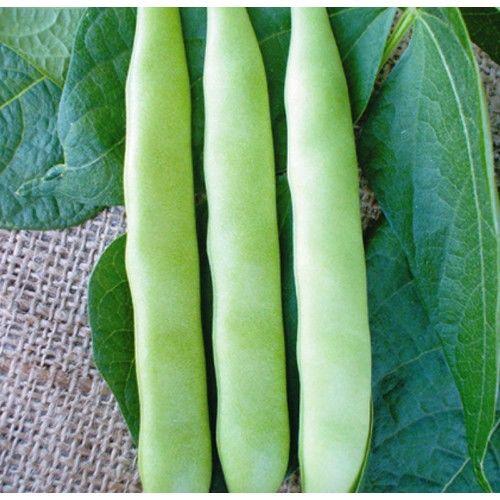 Arzuman Fasulye (SİMBO) 50 Gram