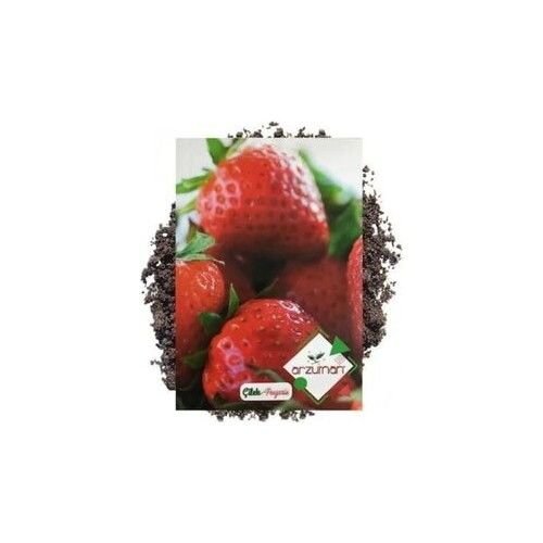 Arzuman 4 Adet Arzuman Çilek Tohumu (100 Adet)