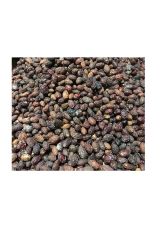 Kızılcık Kurusu (CORNUS MAS) 1 Kg, Derya Eren