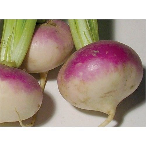 Turp Şalgam Tohumu(10 Gr)