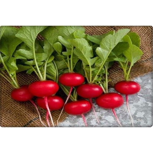 Arzuman Fındık Turp Tohumu (10 Gr)