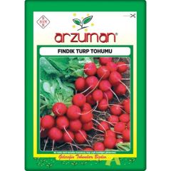 Arzuman Fındık Turp Tohumu (10 Gr)
