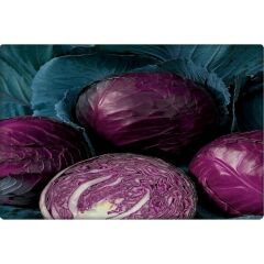 Arzuman Kırmızı Lahana Tohumu (Kara Lahana) 10 gr