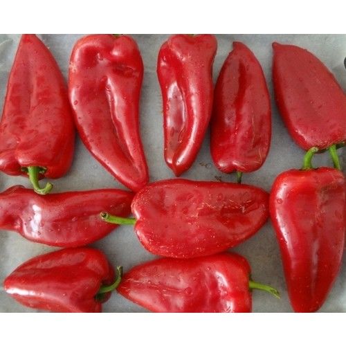 Arzuman Pat Biber - Koyu Yeşil (Közlemelik) 10 Gram