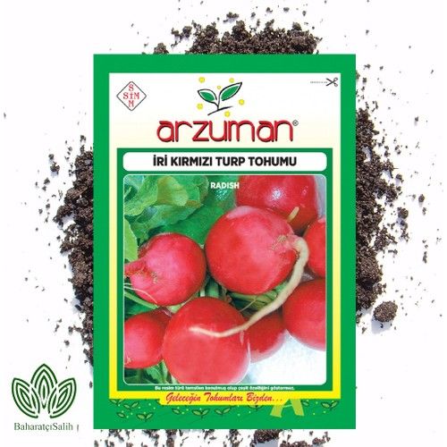 Arzuman Iri Kırmızı Turp Tohumu 25 g