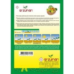 Arzuman Yeşil Soğan Tohumu 10 Gram