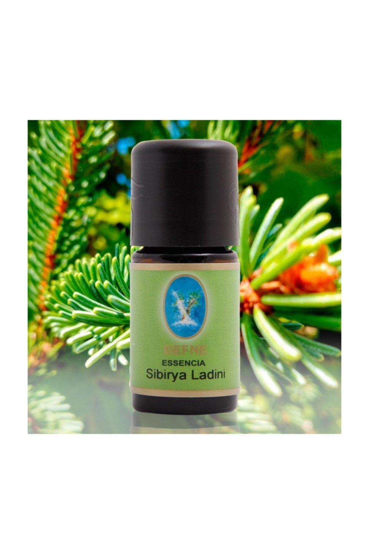 Sibirya Ladini Yağı 5 ml ( Naturel Damıtma )