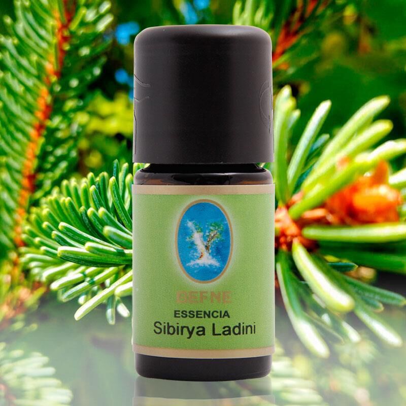 Sibirya Ladini Yağı 5 ml ( Naturel Damıtma )