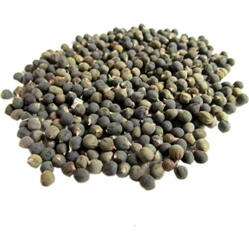 Ayvalık Baharat Bamya Tohumu 100 gr
