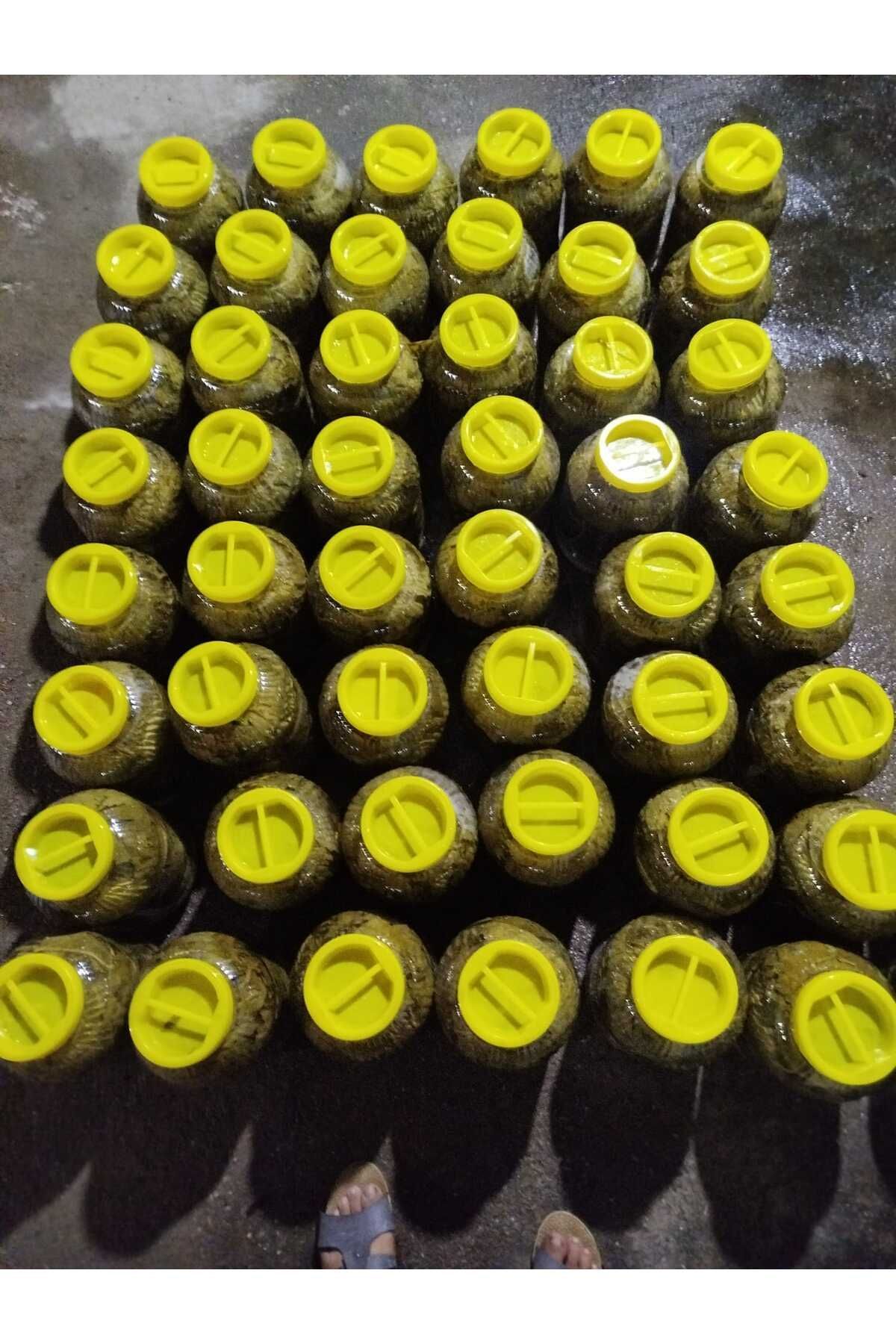 Üzüm Yaprağı 5 Lik Bidon