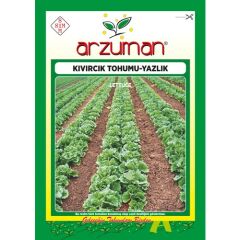 Arzuman Yazlık Kıvırcık Marul Tohumu 10 Gram