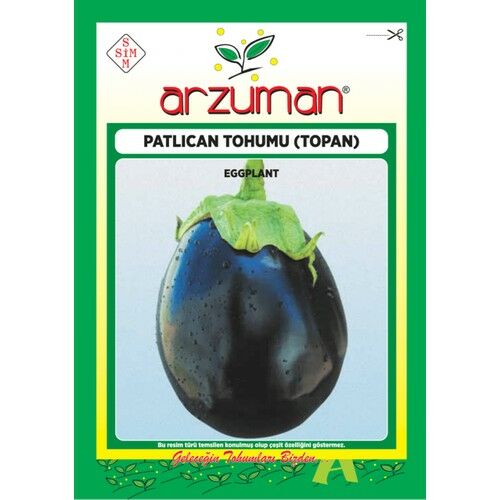 Arzuman Sebze Patlıcan Tohum Topan 10 gr