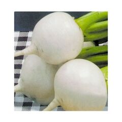 Arzuman Beyaz Turp Tohumu 10 g