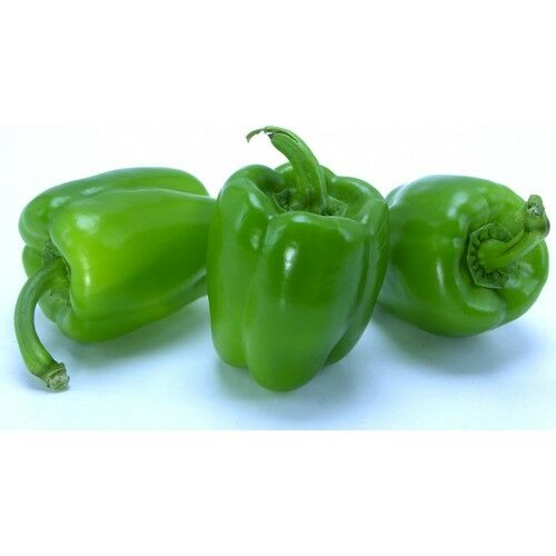 Arzuman Kandil Dolma Biber 10 Gram