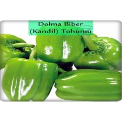 Arzuman Dolma Biber Tohumu İnce Kabuk 10 gr