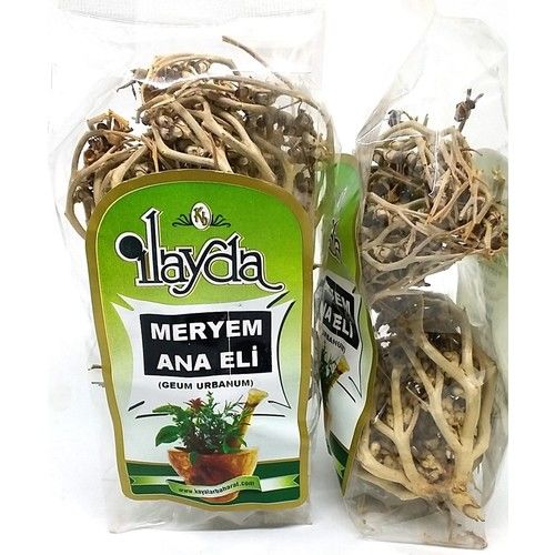 Ilayda Meryem Ana Eli Otu