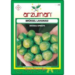 Arzuman Brüksel Lahanası Tohumu (200 Adet)