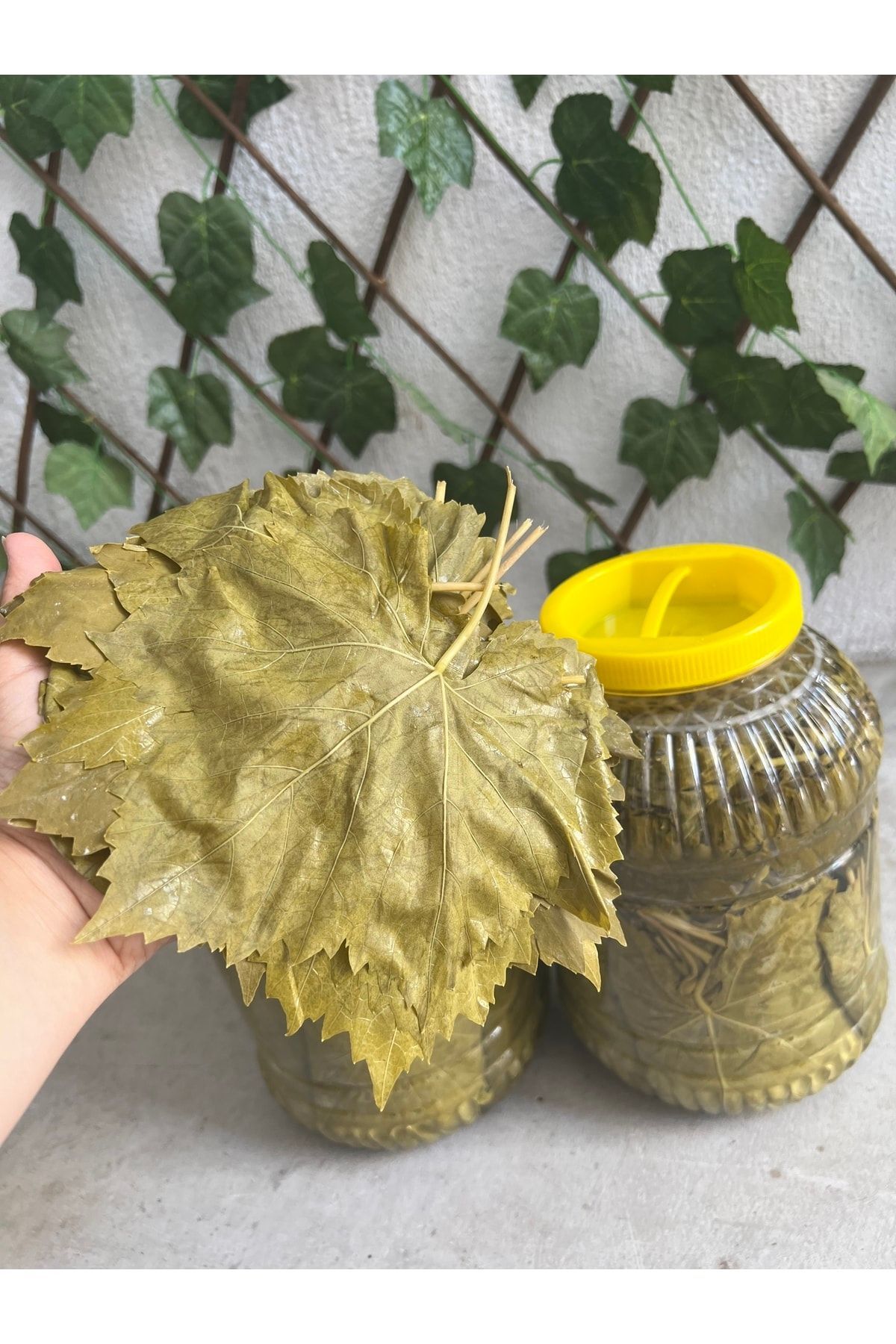 Uç Salamura Yaprak 5kg