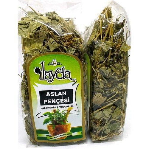 Ilayda Aslan Pençesi Otu