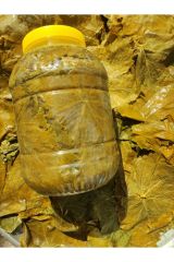 2024 Mahsul Doğal Katkısız Narince Asma Üzüm Yaprağı 5 Kg