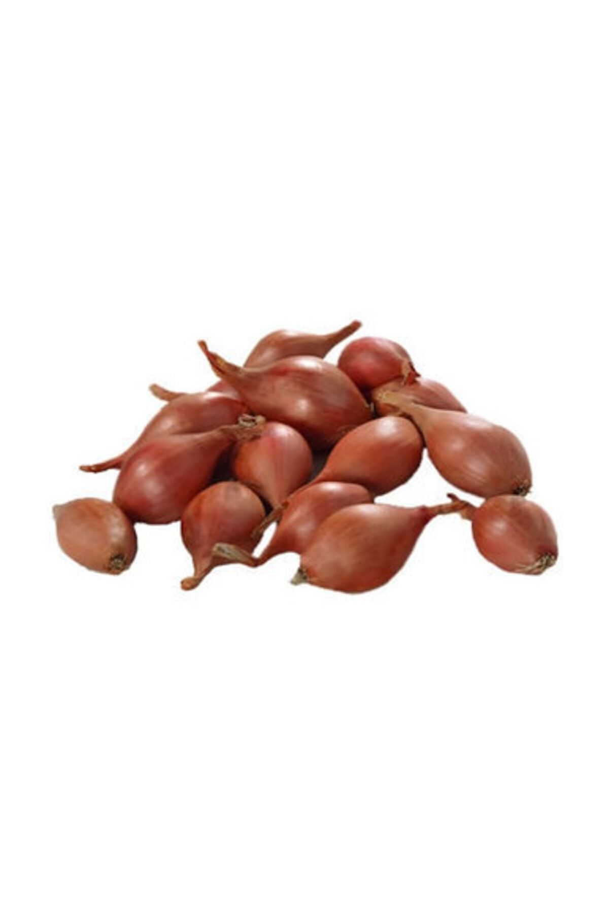 Soğan Arpacık Kg