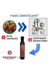 My Farmaex Alıç Yaprağı Sıvı Ekstract 250 Ml