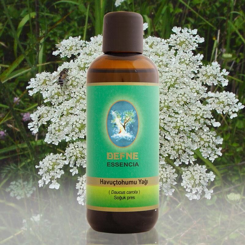 Nuka Essencia Geleneksel Havuç Tohumu Yağı 30 ml Soğuk Press